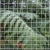 Kingfisher Garden Mesh Netting(1)